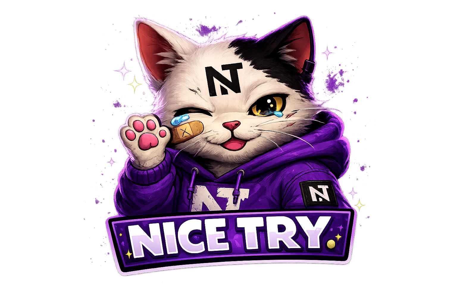 Nice TRY emote